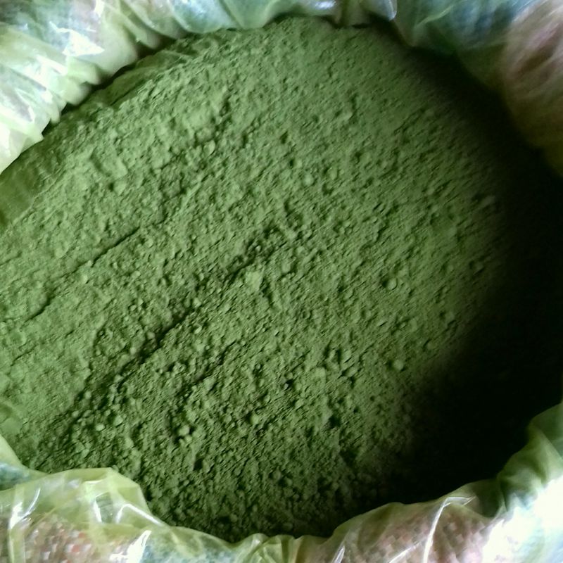 Moringa Powder 800x800