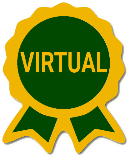 Virtual Participant