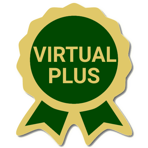 Virtual Plus Package Gold Badge