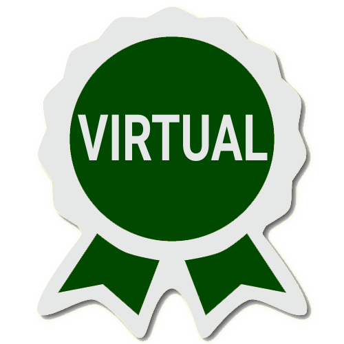 Virtual Silver Package
