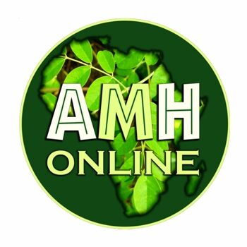 Amh Online Logo