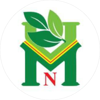 Mountain Moringa Logo